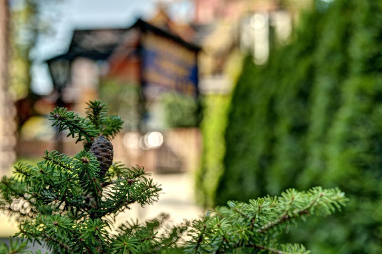 Rezydencja Bystre Zakopane Exterior foto